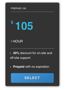 Prepaid 100